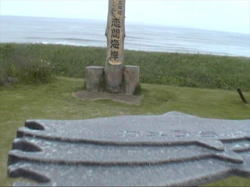 �J������u����ł��I�I