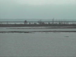 �g�h����