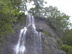 ���H�ɂ��Ԃ��������肻���ȑ�