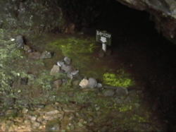 ����p�x�Ō����Č�����