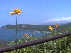 �G�]�J���]�E