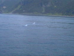 �C���J�����������I