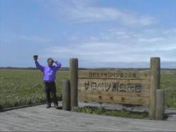 �T���x�e����