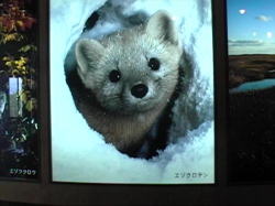 �r�W�^�[�Z���^�[��