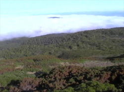 �_�ꍂ�x�V�O�O���H