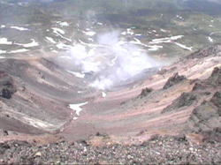 ���x�̑����