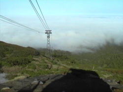 �P�O�P�l���̃��[�v�E�G�C