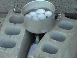 �V�ۂ��񍷂�����̗�