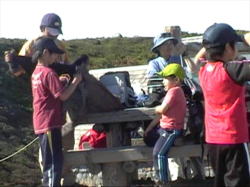 ���x�o�R�̏��w�Z��w�N������