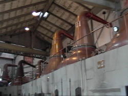 �j�b�J�H���