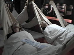 �����̊J�z�ۍČ�