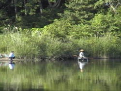 ��������L�����v��Œނ�