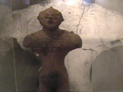 ����̒���y��