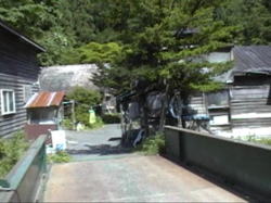 �ЂȂт���D���̓�