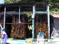 ���z������