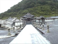 ���R���̉@