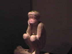 ���b�̎�������i�J�b�p�j