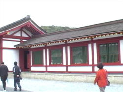 �����̋��̌����Q