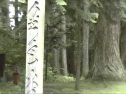 ���F���̈ē�