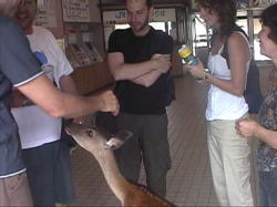 ���͑��тł�����