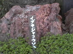 �C�u�L�W���R�E�\�E