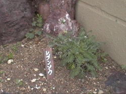 ���u���\�E