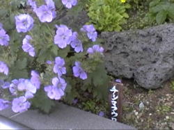 �`�V�}�t�E���E