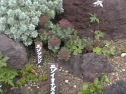 �G�]�c�c�W