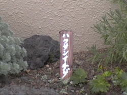 �n�N�T���C�`�Q