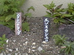 �G�]�X�J�V����