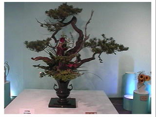 ���`��E�E�E�������ˁ`�I�I