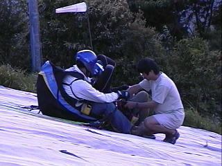 �^���f���t���C�g�̃n�r�G�� preparativo