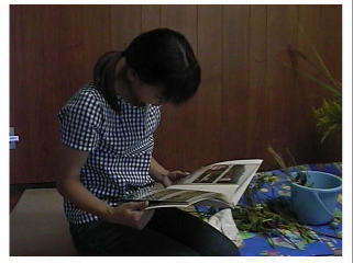 �ւ��`�E�E�E�p���O���C�_�[�����`�C�����ǂ������B