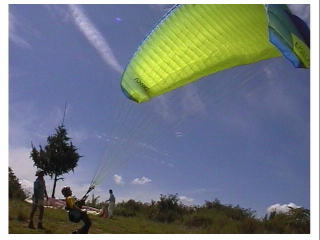 �A�N���X�����グ���ق�I���̒ʂ�E�E�E�B