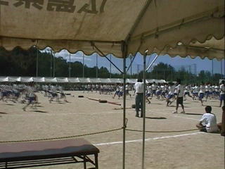 �̂͒j�̎q�̃Q�[���������A�_�D���Blir corriendo al palo