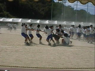 ���̎q�͂����ł����C�I�Ila patida de disputaron un palo