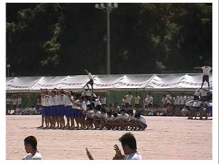 ��N���S���̑g�ݑ̑��@�E�G�C�u masa interpretacion "Ola"