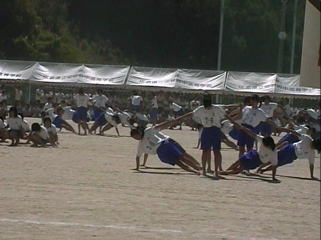 �n�C�I��Ł`���Bel abanico