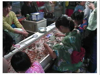 �����[�I�Ȃ��Ȃ�����Ȃ��悤�I�I