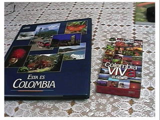 �d���̂ɂ���ȑ傫�Ȗ{���I