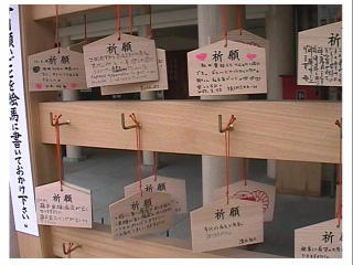 �z�A���̂��y�Y�p�Ɉꖇ�w���I