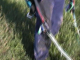 �ق�I�z�A���̑��ǂ낾�炯�[�Ifangoso sa lodo!