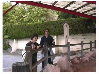 �z�A���͐����Ȃɂ��l���Ă���l�q