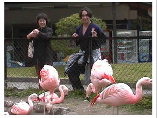 �{�����Y��ȃs���N��