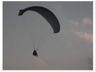 �R�{����ƃ^���f���t���C�g�̃z�A��