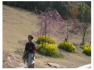 ���{�ɂ͎l�G���B�R�����r�A�́E�E�E�E��Ă��I