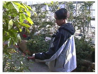 �l�̎�̂Ђ�ɂ����ŁE�E�E�����ŁE�E