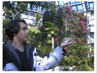 ���킢���Ȃ��`�E�E�E