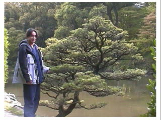 ���x�A�p�C���i���j�̃J�b�g�����ĉ�����