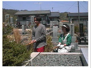 ����Q�肵���́H